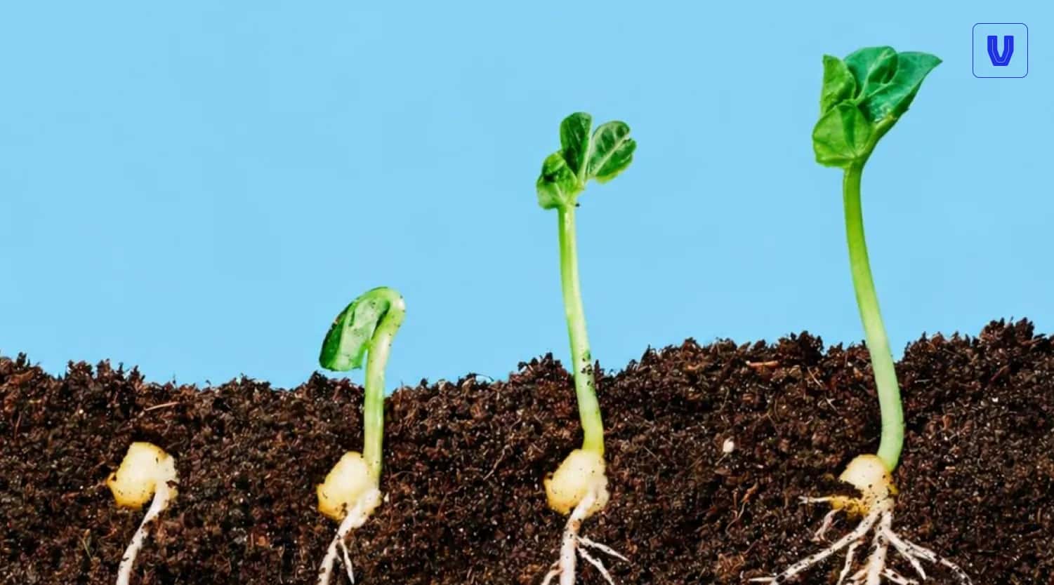 What Is Organic SEO? A Complete Guide to Ranking Without Ads
